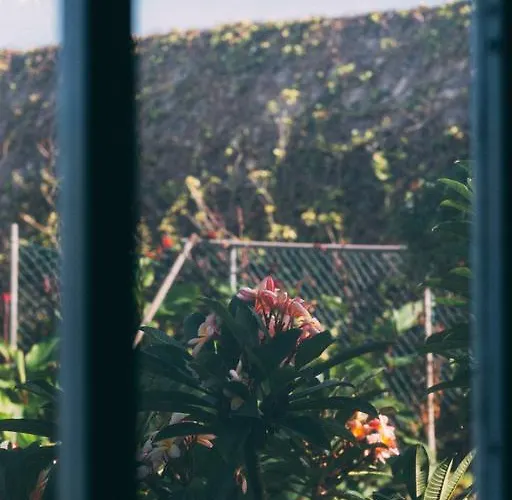 Rural La Casa Amarilla Los Silos