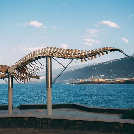 Gospodarstwo wiejskie Rural La Casa Amarilla *