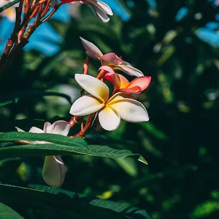 Rural La Casa Amarilla Gospodarstwo wiejskie Los Silos