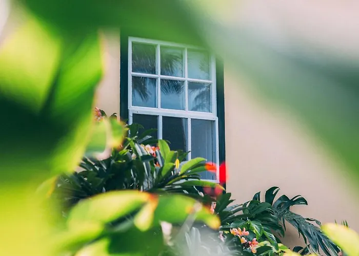 Rural La Casa Amarilla Landhaus Los Silos