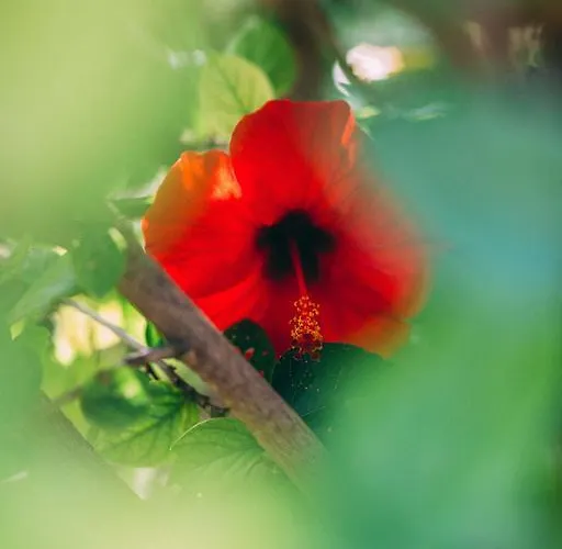 Rural La Casa Amarilla منزل ريفي