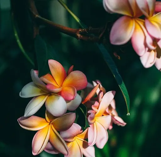 منزل ريفي Rural La Casa Amarilla