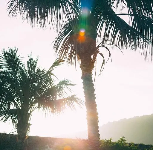 Rural La Casa Amarilla لوس سيلوس