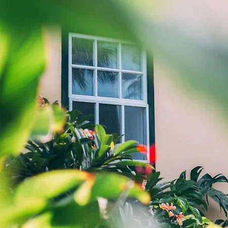 Rural La Casa Amarilla Gospodarstwo wiejskie Los Silos