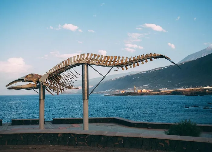 Casa rural Rural La Casa Amarilla *